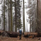 Matt Tarr's photo