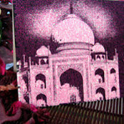 Vinati Bhatt's photo