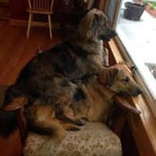 Lisa Krueger's photo