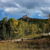 Nedra Peterson's photo