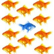 Hans Fischmann's photo