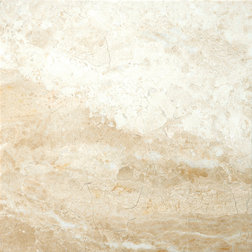 Traditional Wall And Floor Tile by Emser Tile