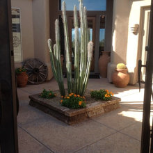 Landscape Ideas