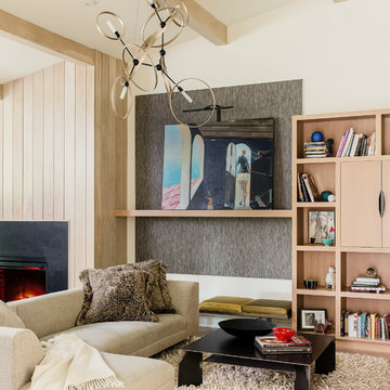 Contemporary Living Room