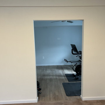 Basement Remodel