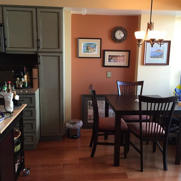 Urban High Rise Condo Remodel