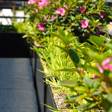 Pearl District Terraces