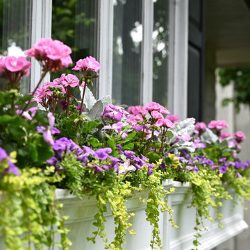 Summer Containers