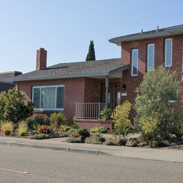 Hayward Hills