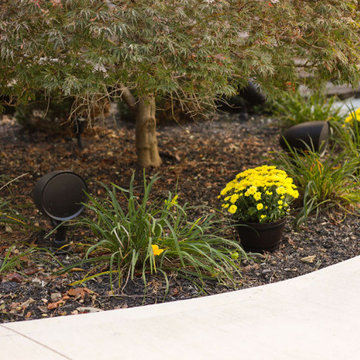 Outdoor Oasis