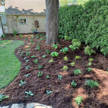 Front and Back Yard Renovation – South Minneapolis