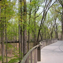 Things to do in Atlanta