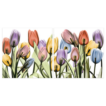 "Tulip Scape" Printed Wall Art on Unframed Free Floating Tempered Glass,Set of 2