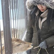Foto von Shuangyang Gui