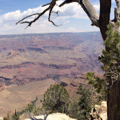 Anthony Thomas's photo