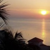 Robin Lyn's photo