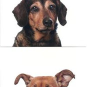 Martina Benke's photo