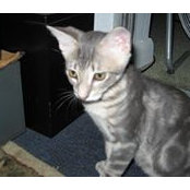 Debbie Koehler's photo