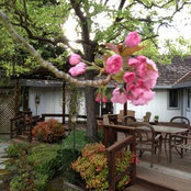 G & K Wells's photo