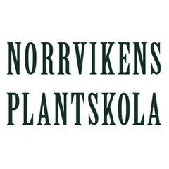 Norrvikens Plantskola