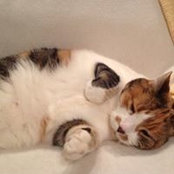 Cathy Swope's photo