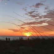 José González's photo