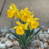 Karen Bachmann's photo