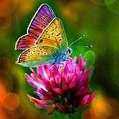 Sarah Brydon's photo