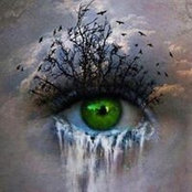 Debbie Sherman Smole's photo