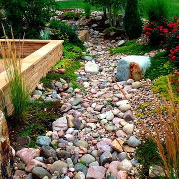 A Dry Creek Bed