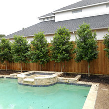 backyard 2023