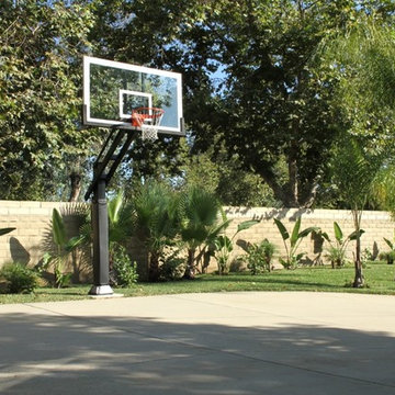 Shaun C's Pro Dunk Platinum Basketball System on a 33x29 in Westlake Village, CA