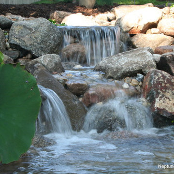 Koi Ponds and Water Gardens