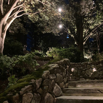 Landscape Lighting