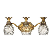 Del Webb - Lighting