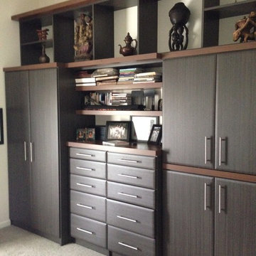 Fox Chapel Master Closet and Display Wall
