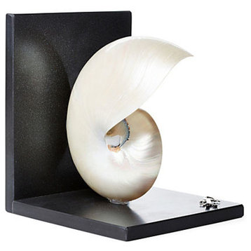 White Nautilus Shell attached to a Black Granite Bookend