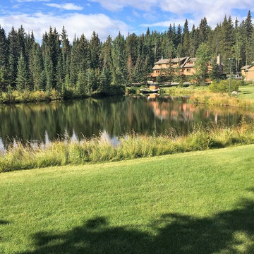 Bragg Creek
