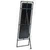 Furniture of America Regalo Metal 51-Inch Standing Mirror in Sand Black