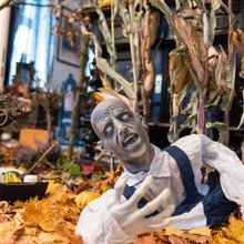 Houzz Tour: Er det verdens mest syrede Halloween-fest?
