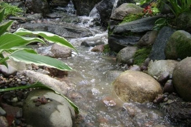 Design ideas for a tropical landscaping in Chicago.