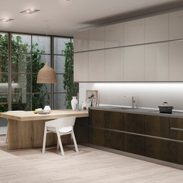 Modern European Kitchens in San Diego