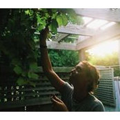 C Calo's photo