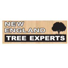 New England Tree Experts Inc