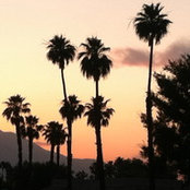 Courtney Bateman's photo