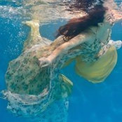 Liang Wong's photo