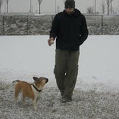 Michael Natale's photo