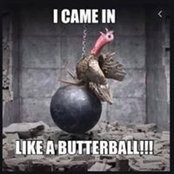 Steffi Harvey's photo