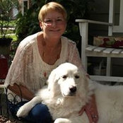 Rusti White's photo