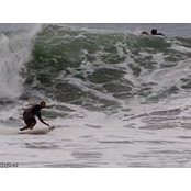 Roy Sahachaisere's photo